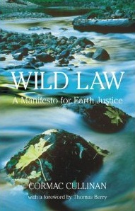 Wild Law: A Manifesto for Earth Justice 1st edition