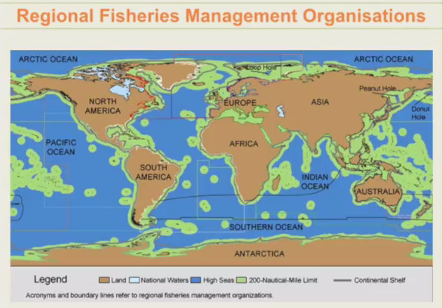 Lisa Mead - fishery management