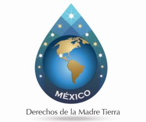 Logo de DMT México