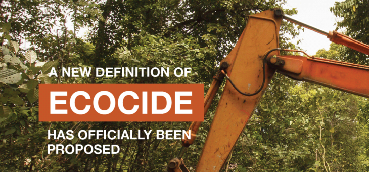 Legal definition of ecocide as a crime against the planet has been determined by international panel